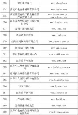 网络视听节目传播许可 持证单位概览与行业影响